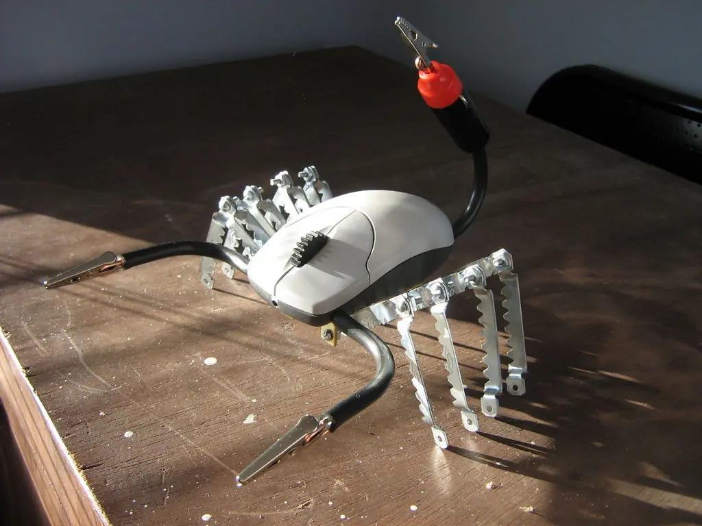 mouse