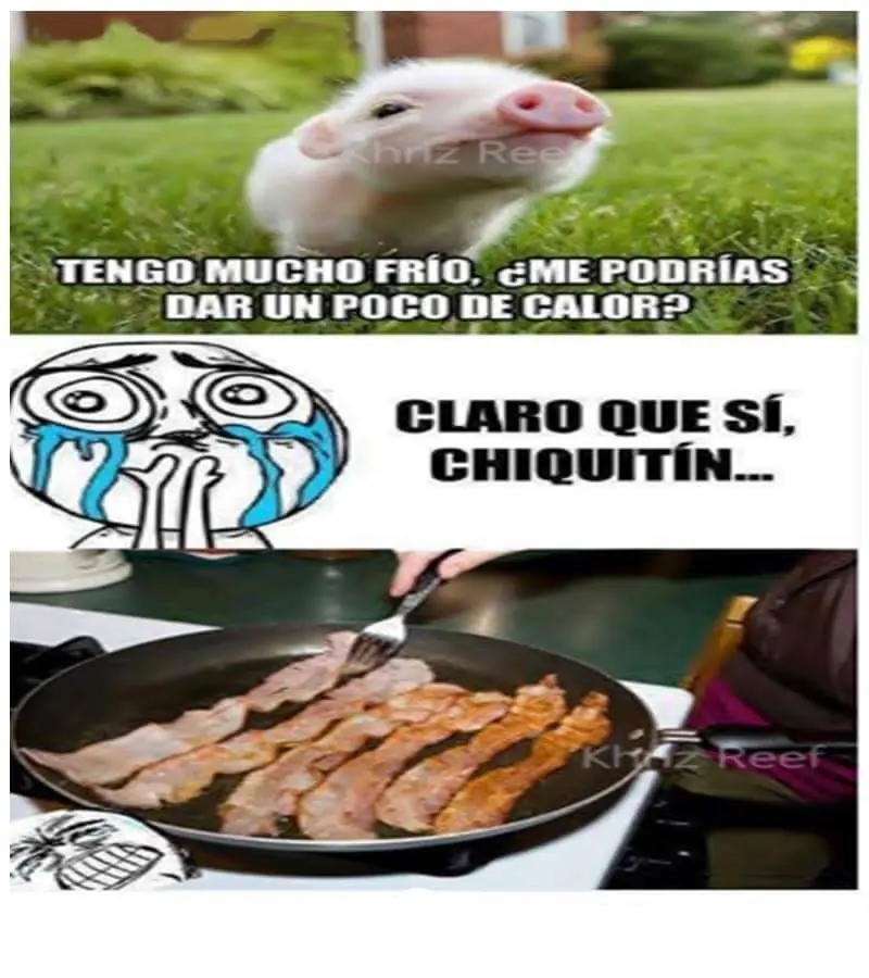 taringa
