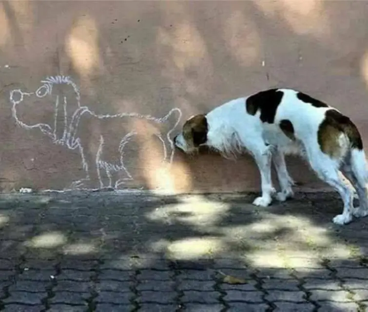 imagenes chistosas