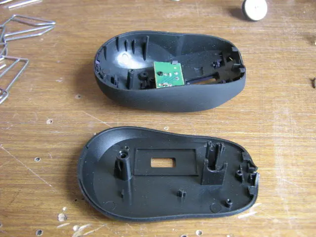 mouse