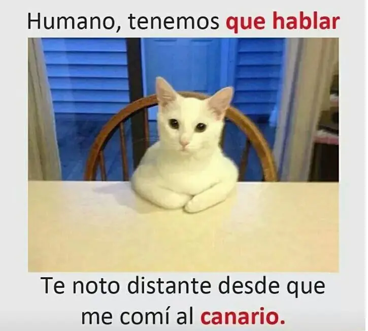 Pero mirate estas imagenes de Humor papa