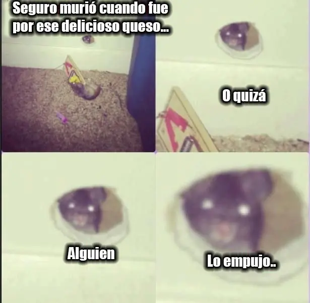 Humor mañanero para levantar el ánimo!