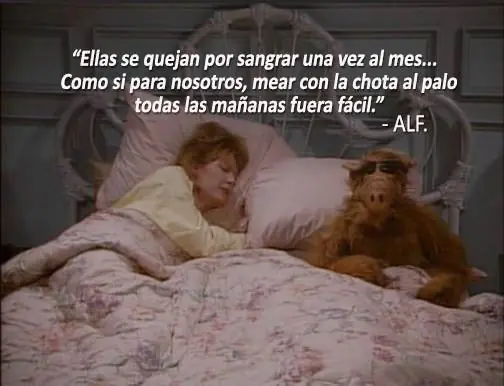 humor en imagenes