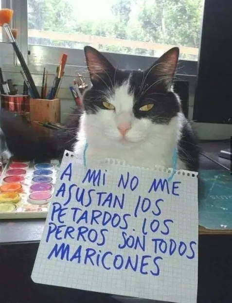 si te ries