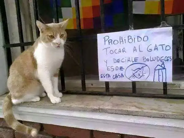 humor