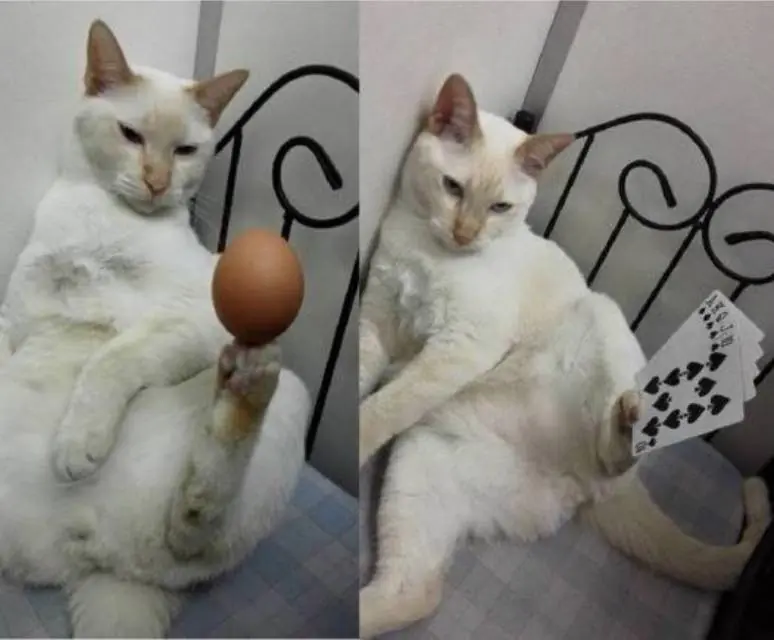 imagenes chistosas