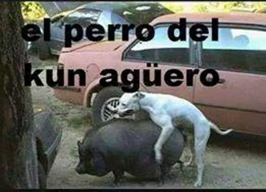 humor en imagenes