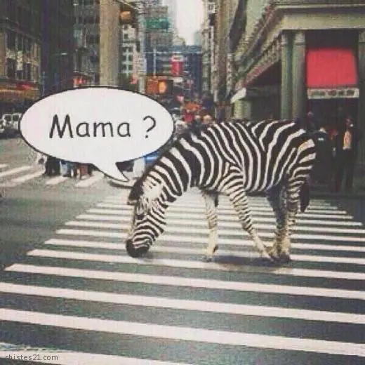 entra y reite