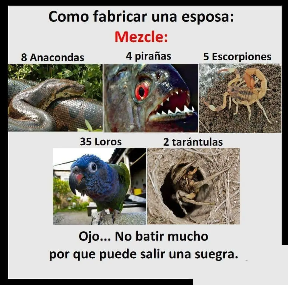 humor