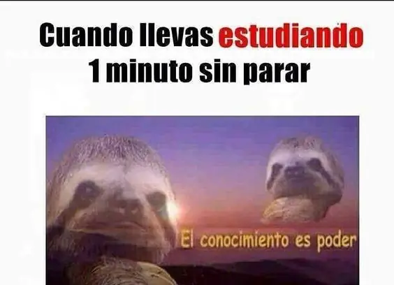 divertidas