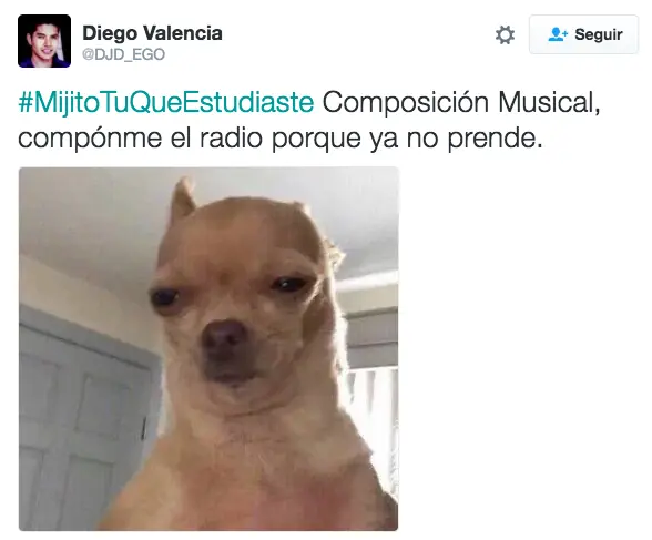 Tuits de #MijitoTúQueEstudiaste con los que te identificarás