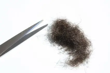 pelo