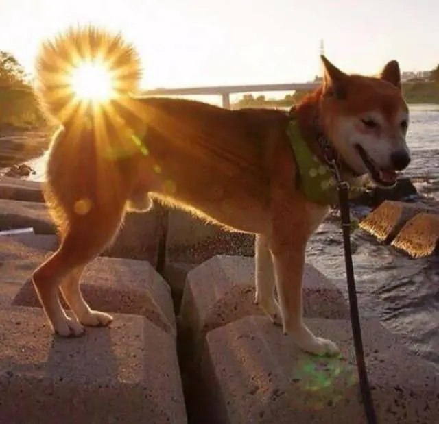 fotos graciosas