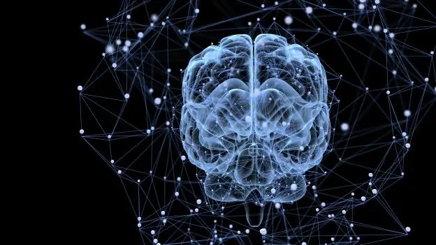 ¿Qué pasa en el cerebro durante la masturbación?