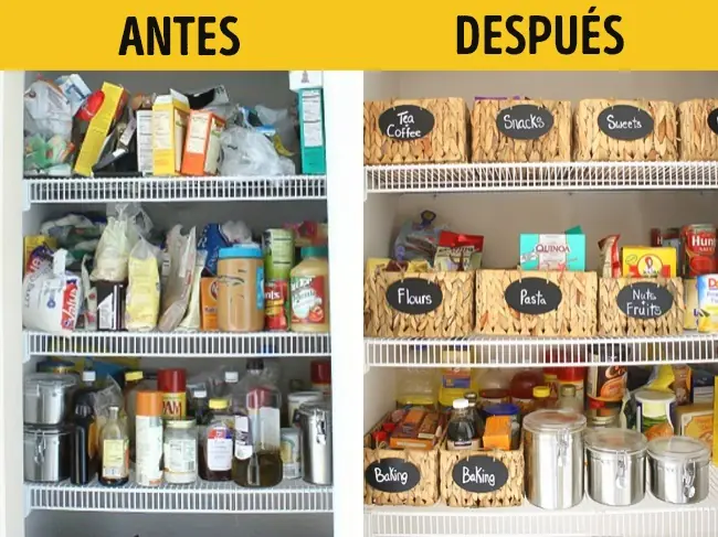 organizar