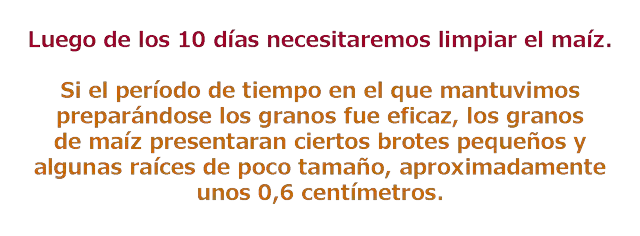 Hazte tu propio whisky