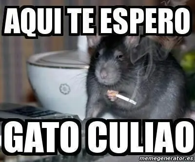 memes