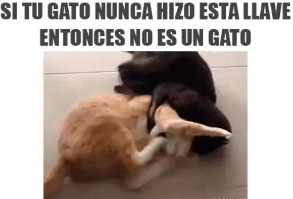 imagenes