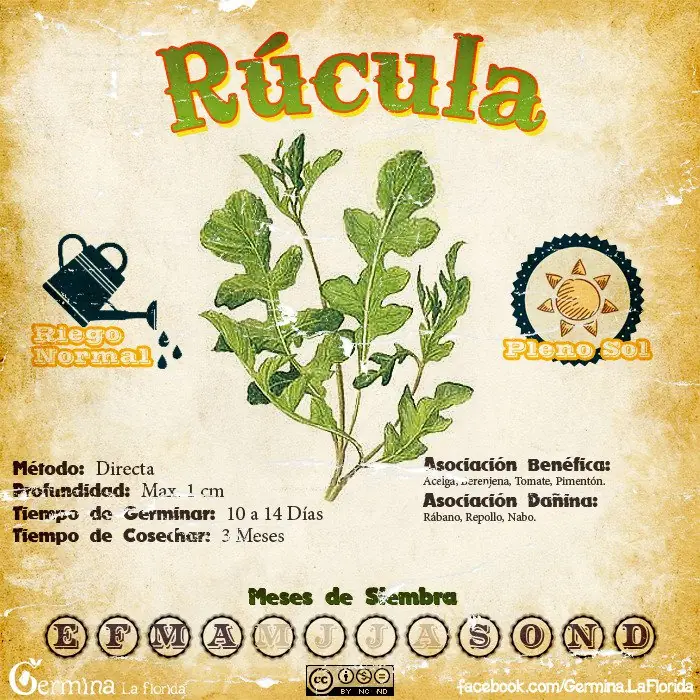 huerta propia huerta propia