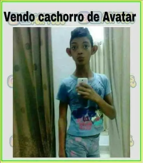 taringa taringa