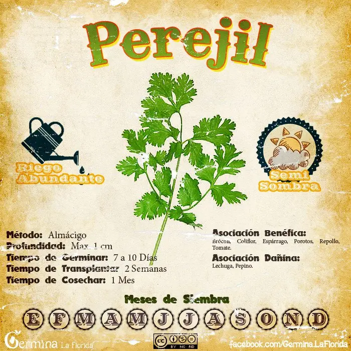 huerta propia huerta propia