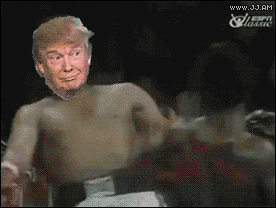 Shout Gif