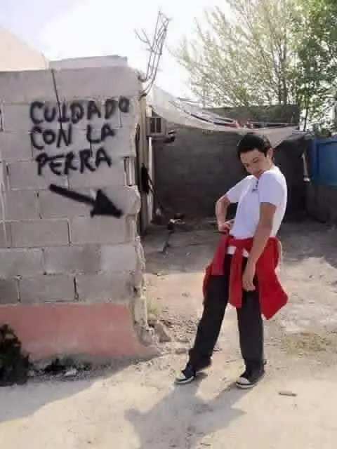 taringa taringa