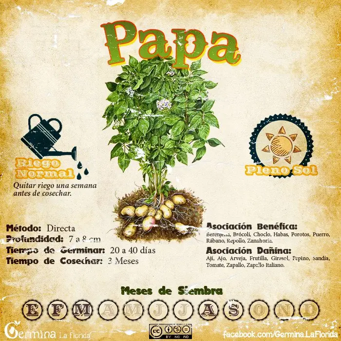 huerta huerta
