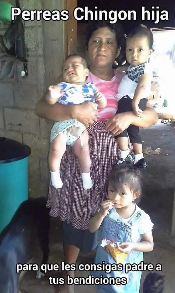 taringa taringa
