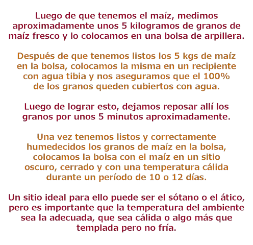 tu mismo