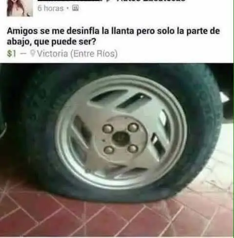 taringa taringa
