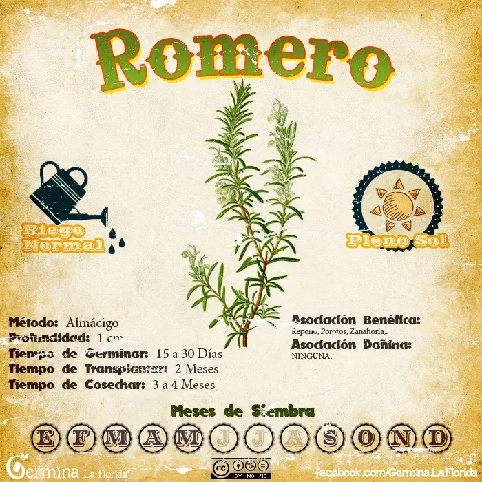 huerta huerta