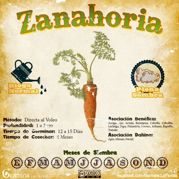 Que sembrar en Marzo. Huerta propia Que sembrar en Marzo. Huerta propia