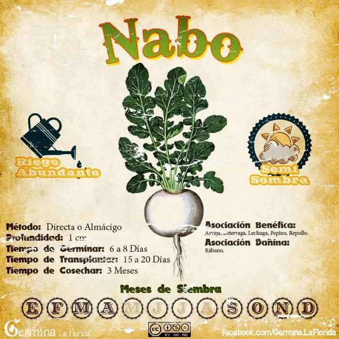 marzo marzo