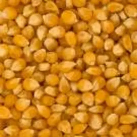 hazlo