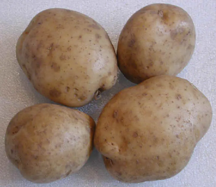 papitas