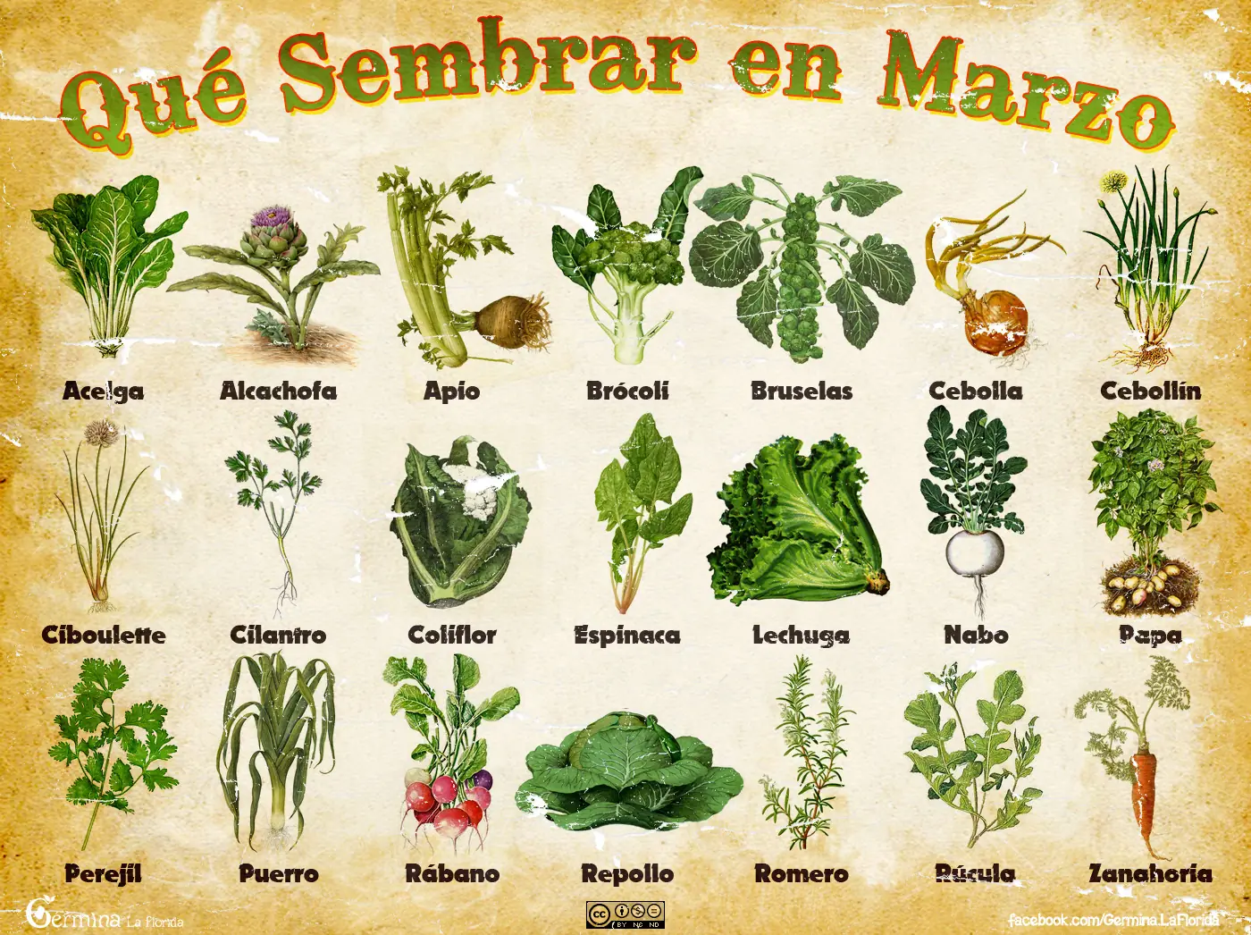 calendario de siembra de marzo