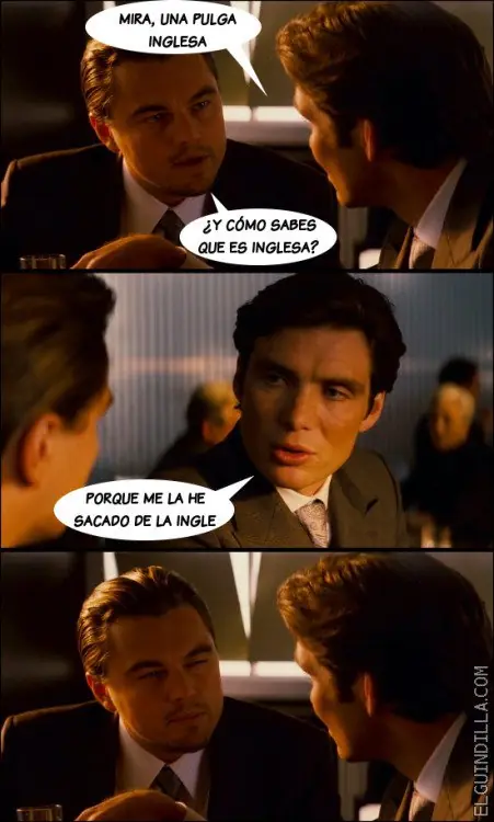 calidad
