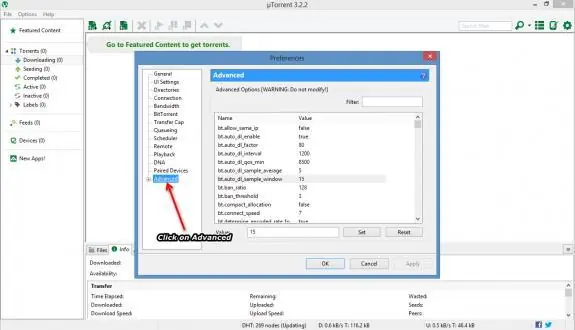 utorrent