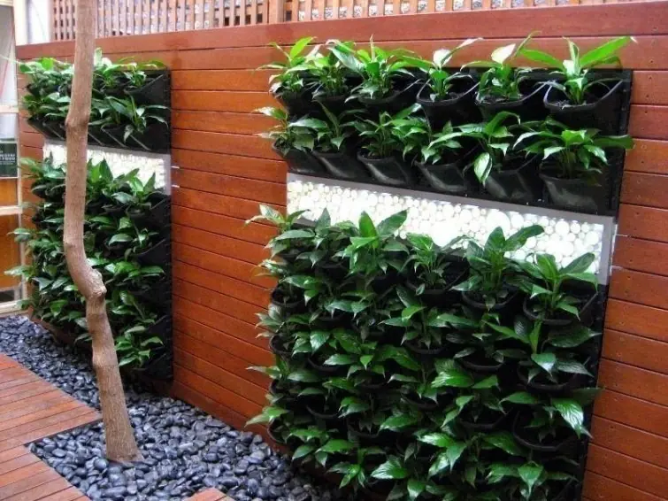 jardines