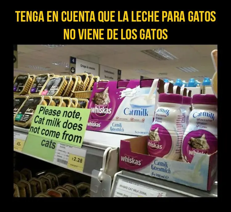 graciosos