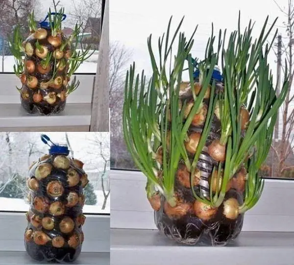 ideas