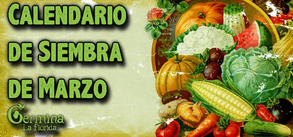 Calendario