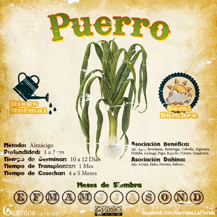 calendario de siembra de marzo