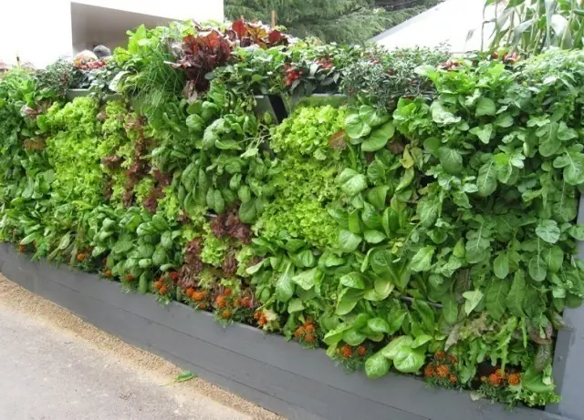 jardines