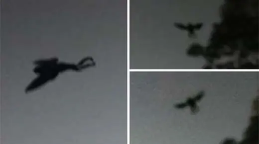 'Hombre Polilla' es fotografiado volando en EE-UU