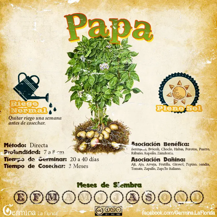Calendario