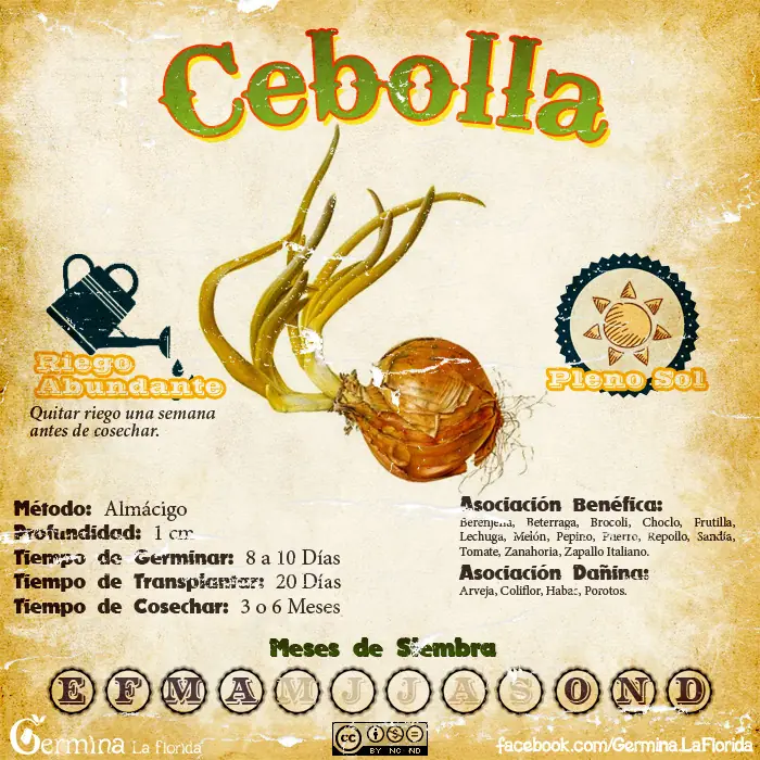 calendario de siembra de marzo