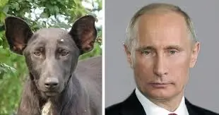 Doppelganger Doppelganger