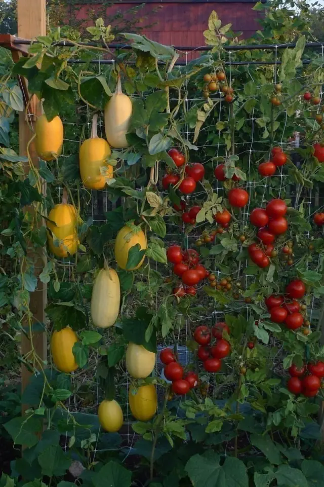 17 ideas para construir jardines verticales